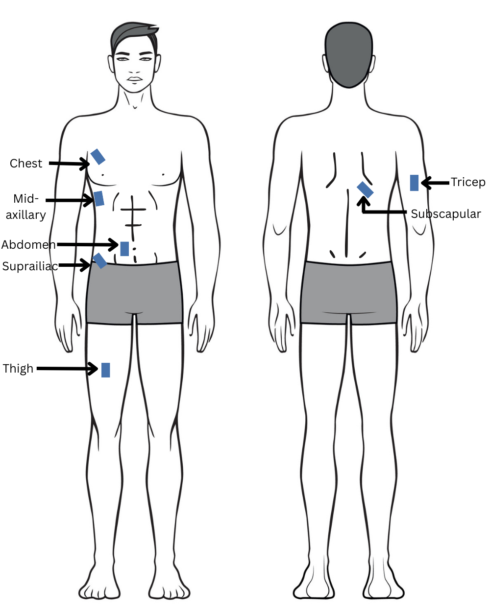 Diagram of the 7 standard skinfold measurement sites on the human body
